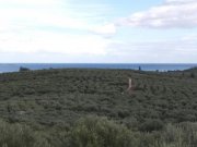 Kalyves Land mit großartigem Meerblick in Apokoronas zum Verkauf Grundstück kaufen